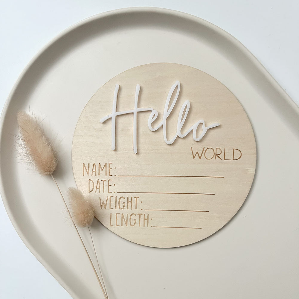 Hello World Disc - White