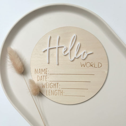 Hello World Disc - White