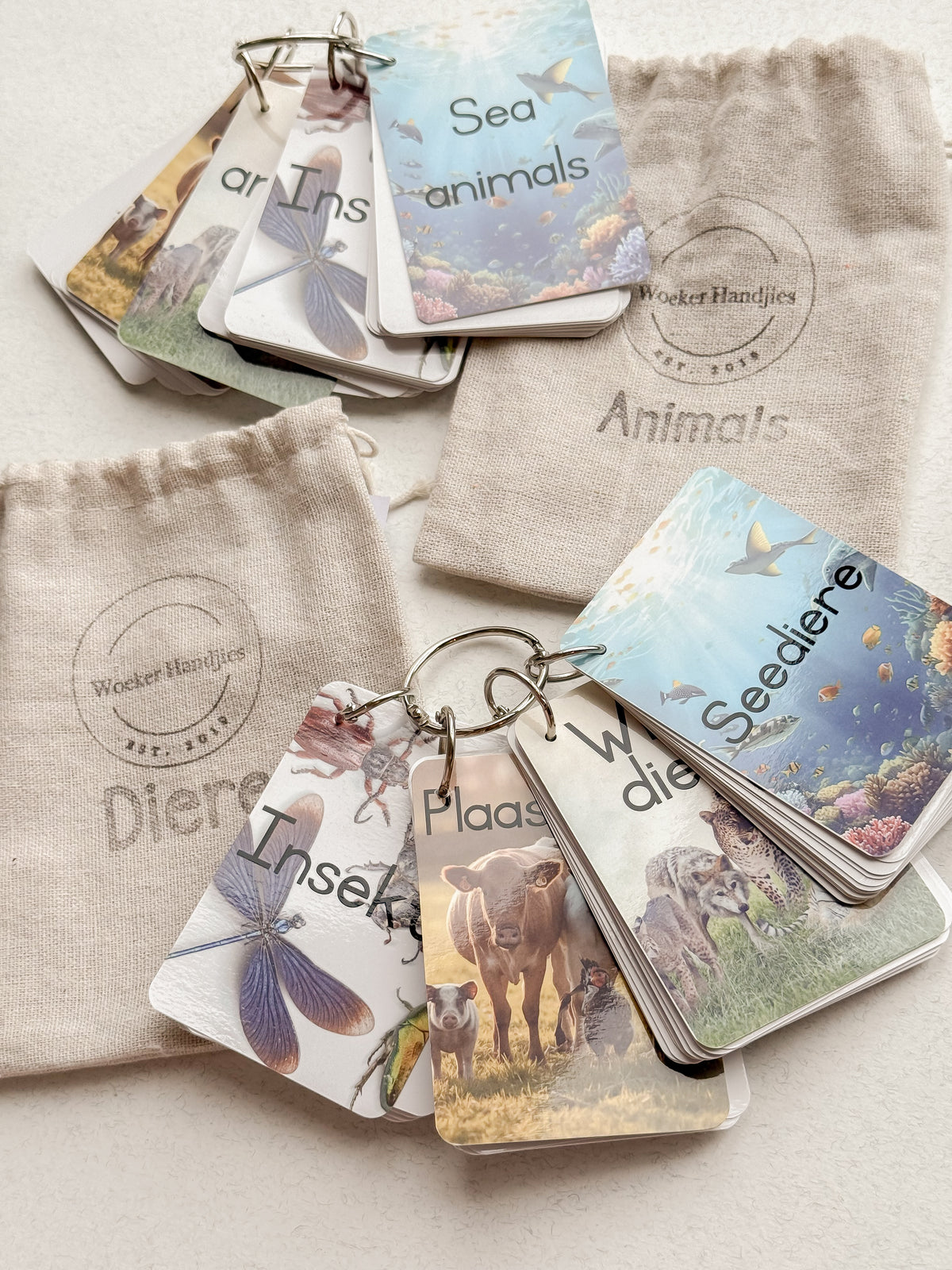 Woeker Handjies - Flash Cards/Flits Kaarte