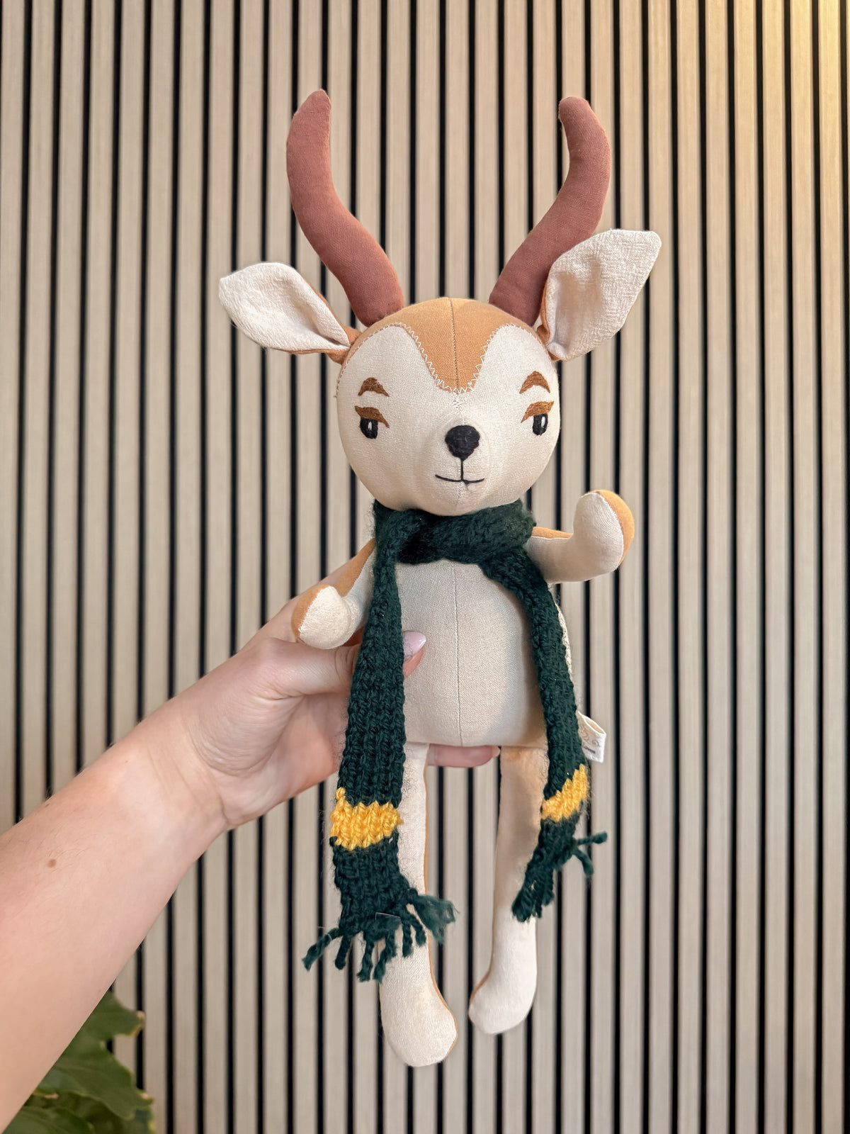 Spring Bokkie